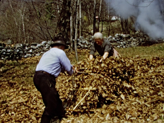 Mestieri a Bigorio e dintorni