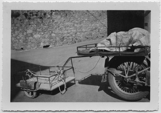 Descrizione fondo Ester Cattaneo-Storni