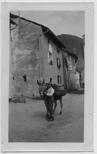 Ritratto di ragazzo con un asino sulla piazza di Sala