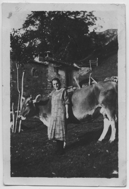 Ritratto di donna con una mucca sui monti di Brena a Gola di Lago