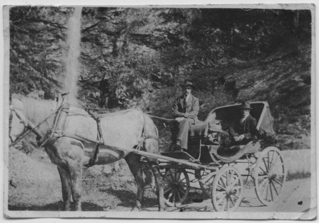 Ritratto di due uomini su una carrozza