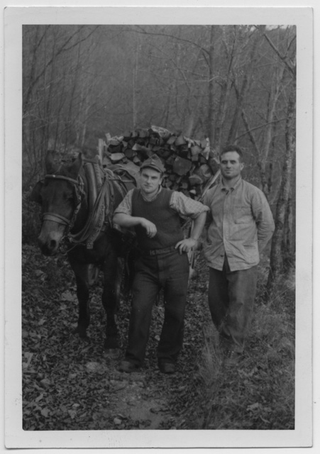 Achille e Berto Storni nei boschi di Vaglio con un carico di legna
