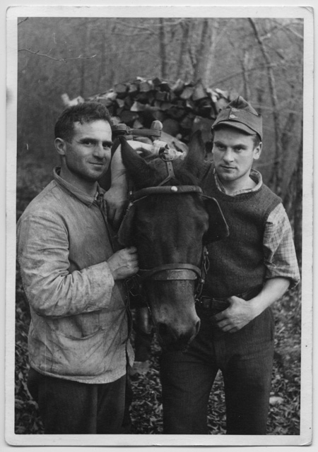 Achille e Berto Storni con il cavallo e un carico di legna nei boschi di Vaglio
