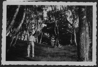 Ritratto di un uomo nel bosco