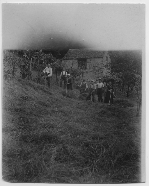 Fienagione nei ronchi di Sala Capriasca in zona Favéssa