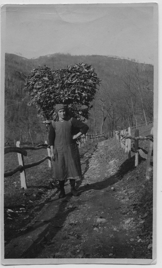 Cleofe Quadri-Giovannini con un cargansce di foglia