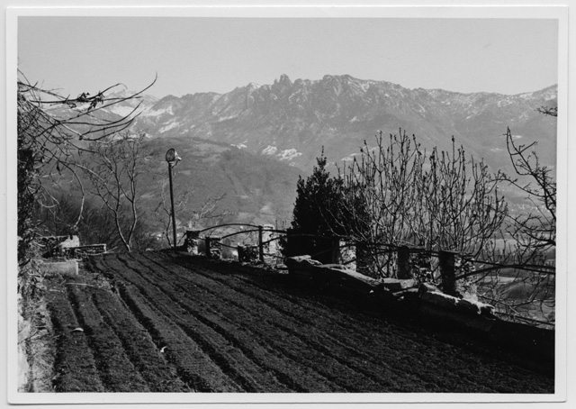 Veduta dell'orto del Convento di Bigorio