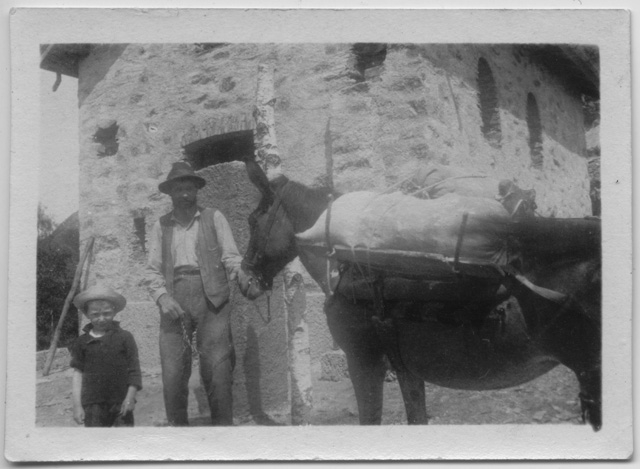 Giuseppe Wezer, servitore dei frati di Bigorio, sui monti di Condra con un mulo