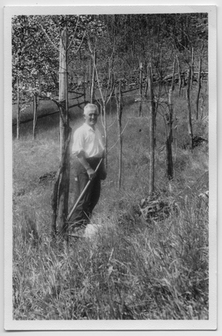 Giuseppe Lepori nella vigna di Caslásc