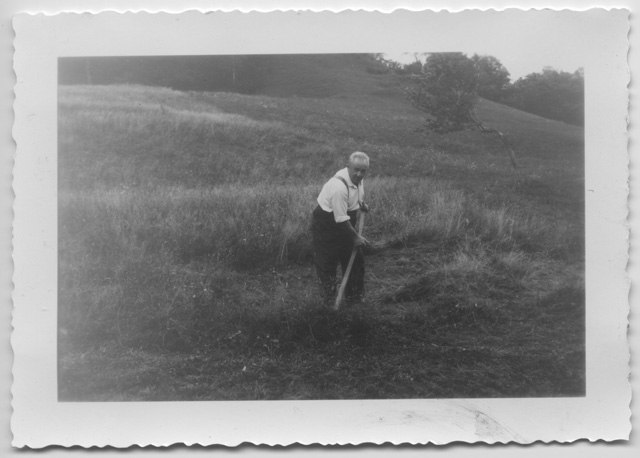 Nicola Riva mentre falcia un prato a Pres'gè