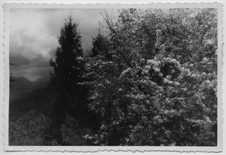 Veduta dalla Capriasca verso valle