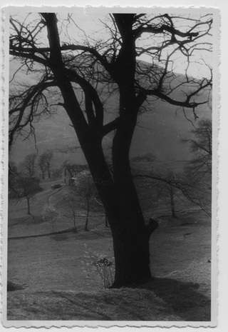 Veduta dei monti di Roveredo