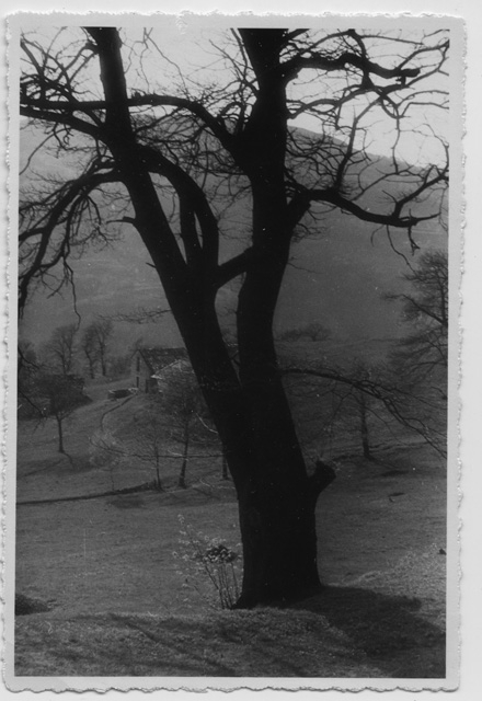 Veduta dei monti di Roveredo