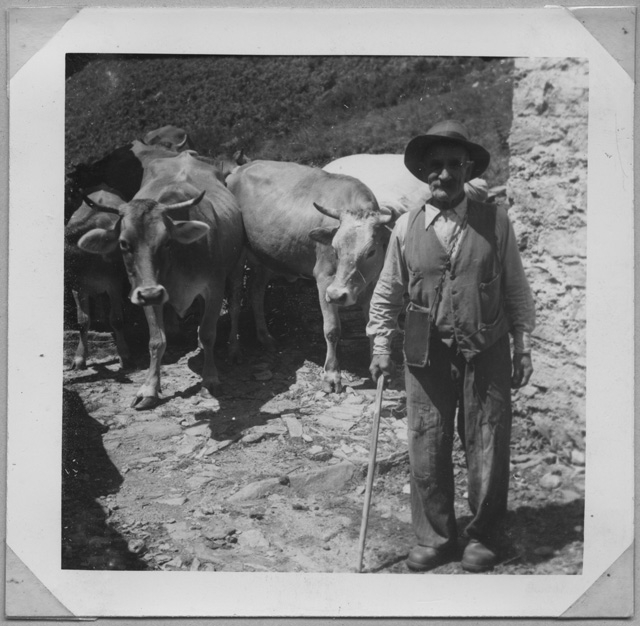 Ritratto di Erminio Fumasoli a Stinchè