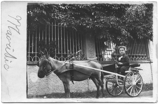 Bambino in posa a bordo di un carretto
