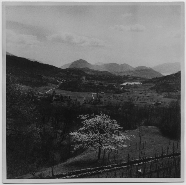 Veduta di Ponte Capriasca dai ronchi di Sala