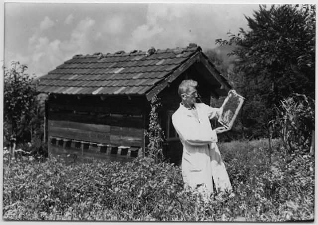 Ritratto di Basilio Bassi, apicoltore