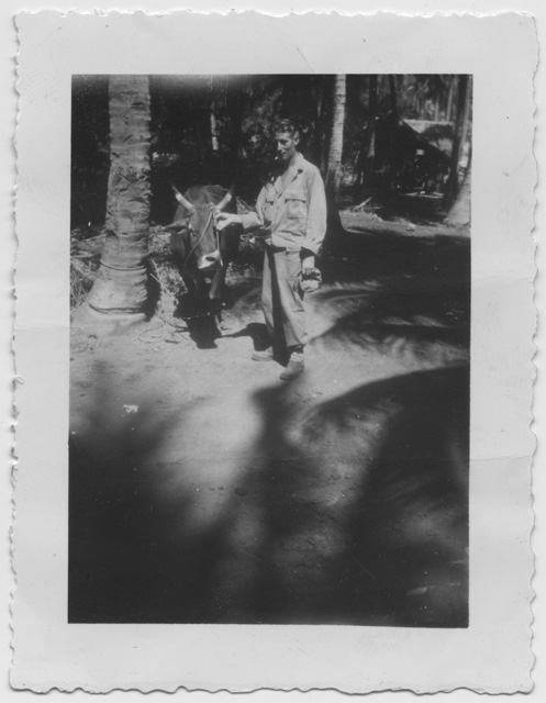 Angelo Rossini arruolato nell'esercito degli Stati Uniti in posa con un bue