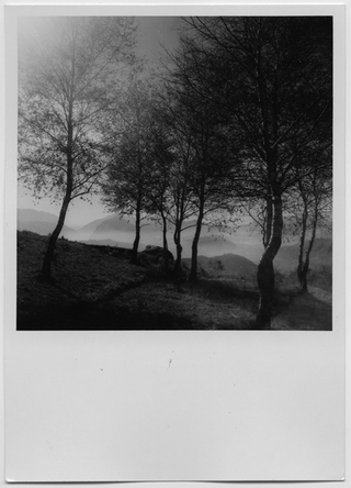 Cartolina dei Monti di Brena