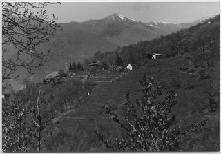 Paesaggio di Sala Capriasca