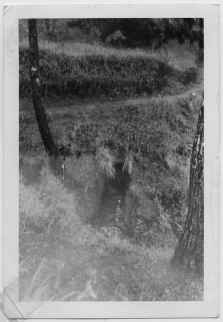 Natura nelle Filippine