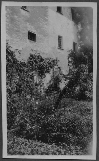 Mario Bernasconi nel giardino di casa