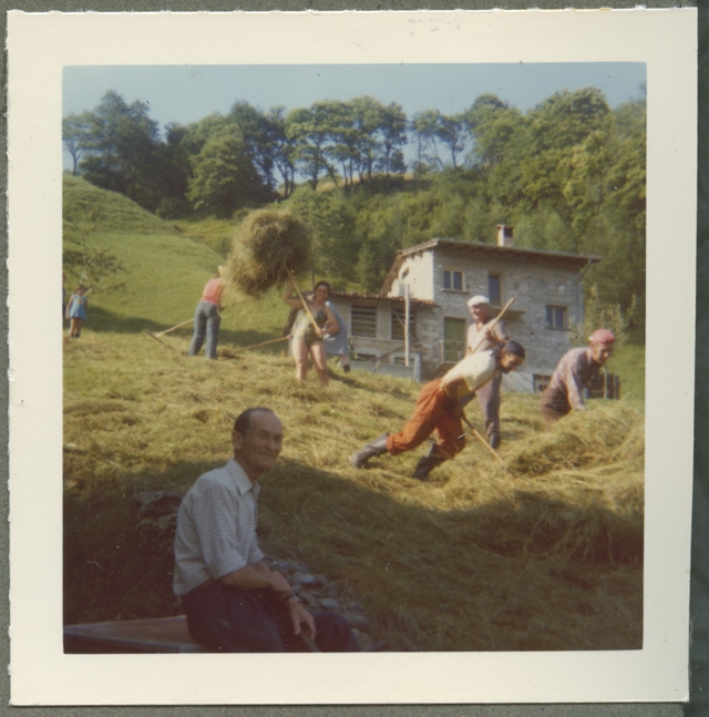 Fienagione a Bidogno