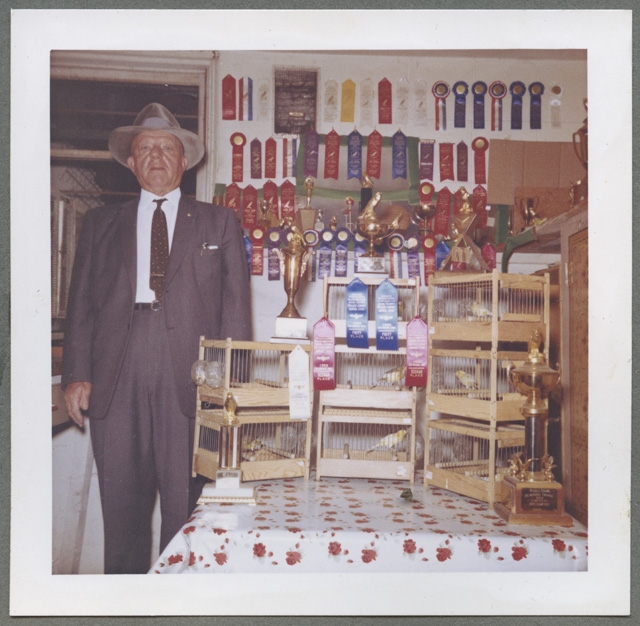 Ernesto Canonica di Lupo, a San Francisco con i suoi canarini