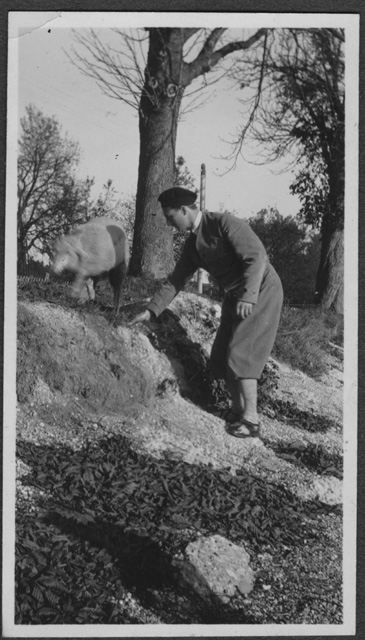 Mario Bernasconi in campagna