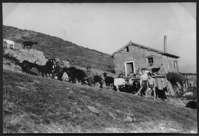 Helios e Renato Gianini all'Alpe Musgatina