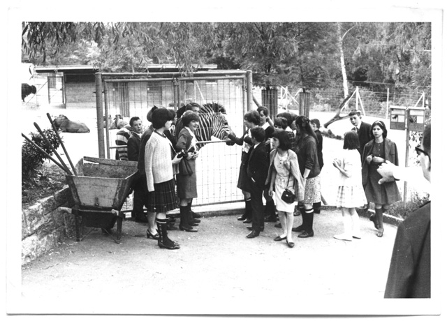 Classe scolastica in visita allo zoo di Zurigo