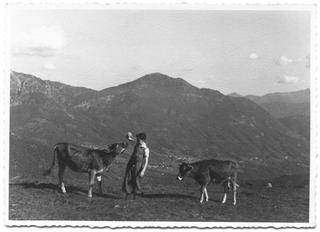 Giuseppe "Pepi" Antonini a Condra