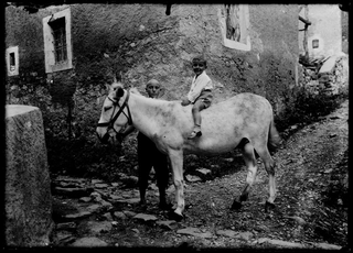 Franco Campana in posa con un asino a Piandera