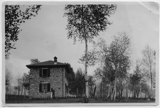 Uomo in giardino con cane a -