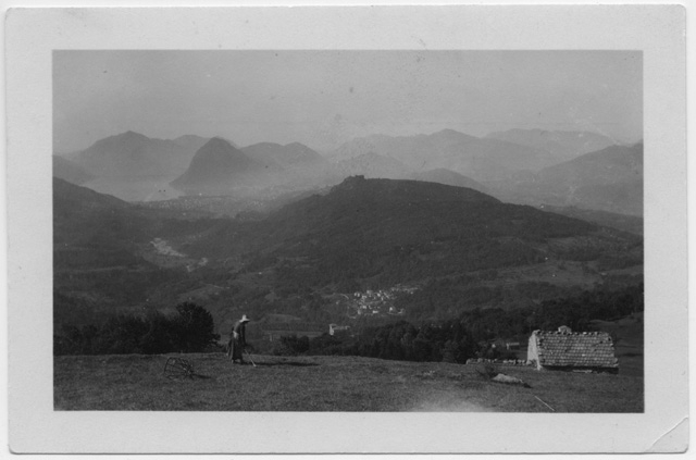 Falciatrice alla Brughera