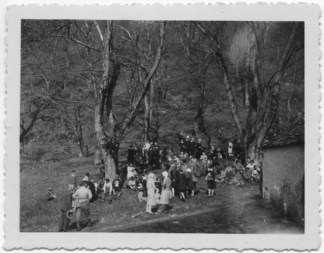 Gita in occasione della festa dell'albero