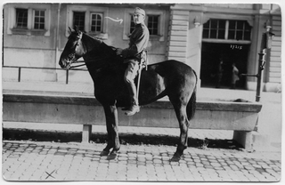 Soldato a cavallo a Berna