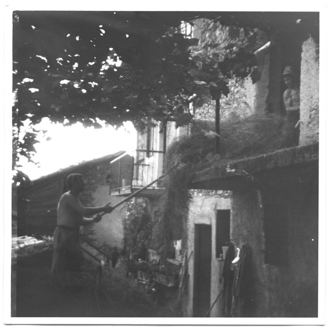 Giorgio e Claudio Pietra mentre stivano del fieno a Comano