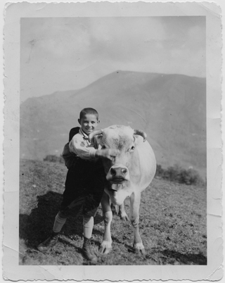 Bambino in posa con un vitello a Condra