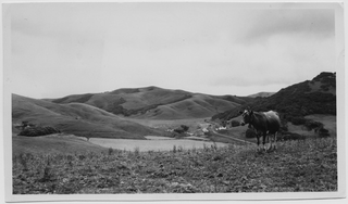 Paesaggio in California