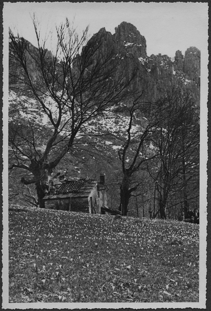 Veduta con i Denti della Vecchia