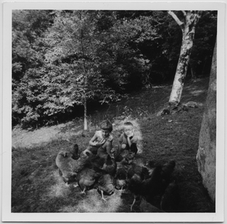 Bambini con galline a Sonvico