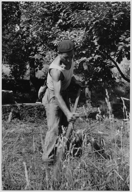 Guerino Guerra con la falce a Ponte Capriasca