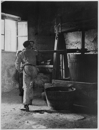 Due uomini mentre azionano un torchio