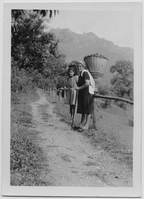 Raccolta delle patate a Sonvico