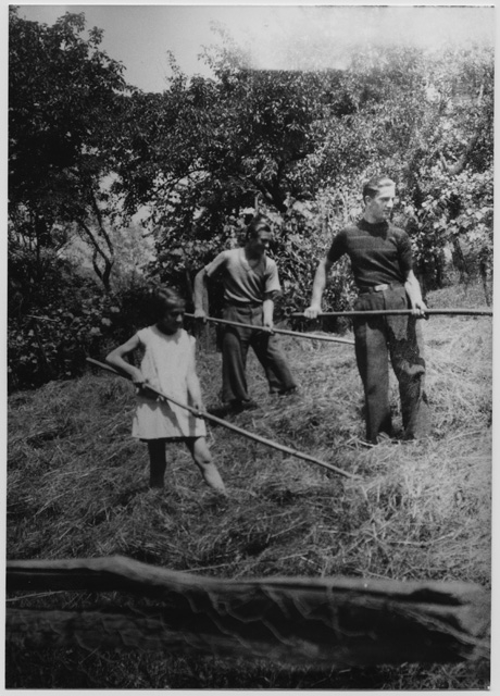 Fienagione al Deserto a Tesserete