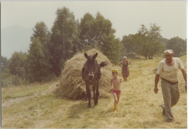 Plinio e Piera Storni trasportano del fieno ai Monti di Condra