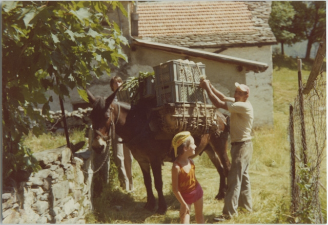 Plinio Storni ai Monti di Condra dopo un viaggio con il mulo