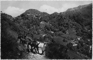 Cartolina del Ritrovo Luèra a Gola di Lago
