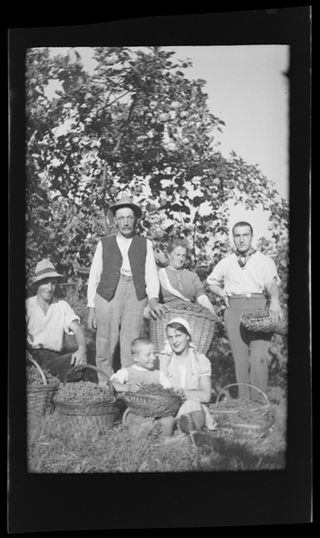 Famiglia Nesa durante la vendemmia